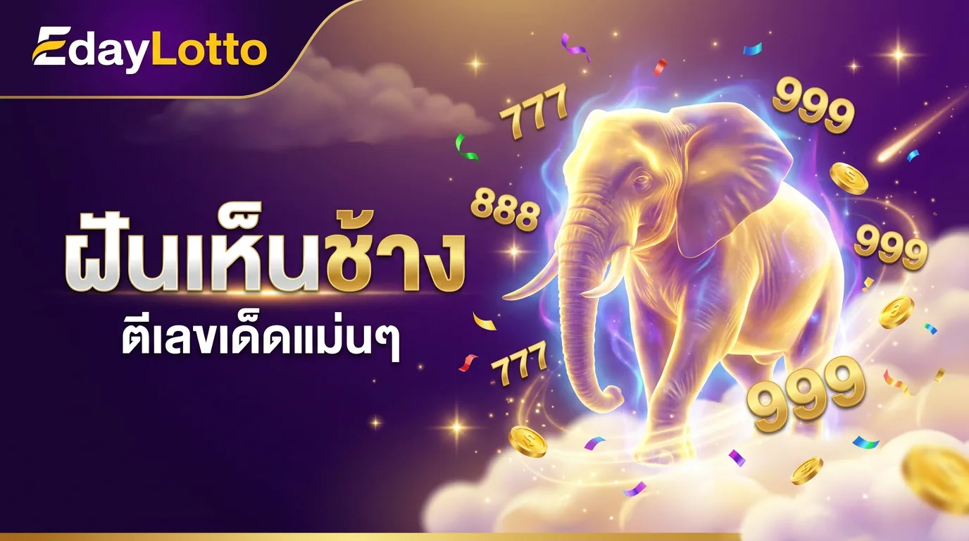 ฝันเห็นช้าง เลขเด็ดตีเลขแม่นๆ Eday Lotto
